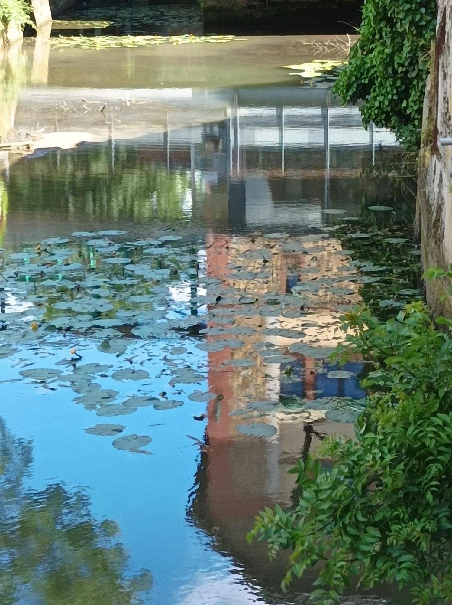 La Maison Au Bord De L'Eau Gracay ภายนอก รูปภาพ